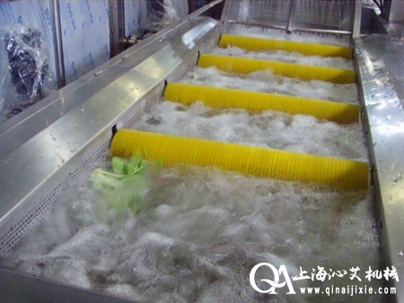 蔬菜气泡清洗机